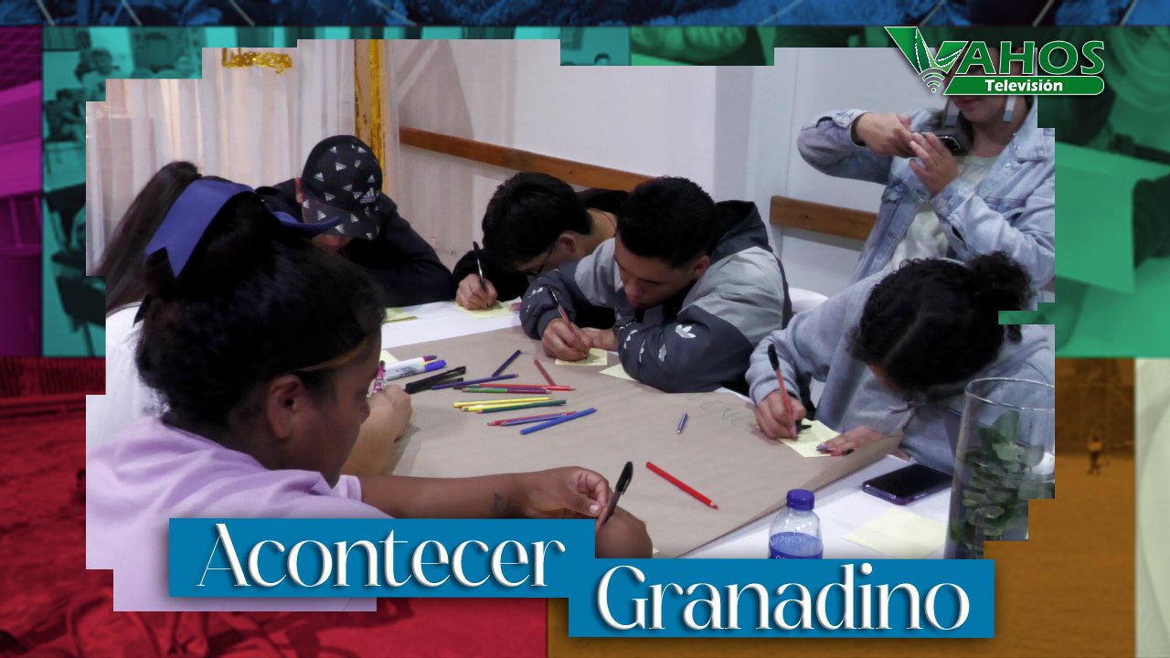 Imagen juventud granada