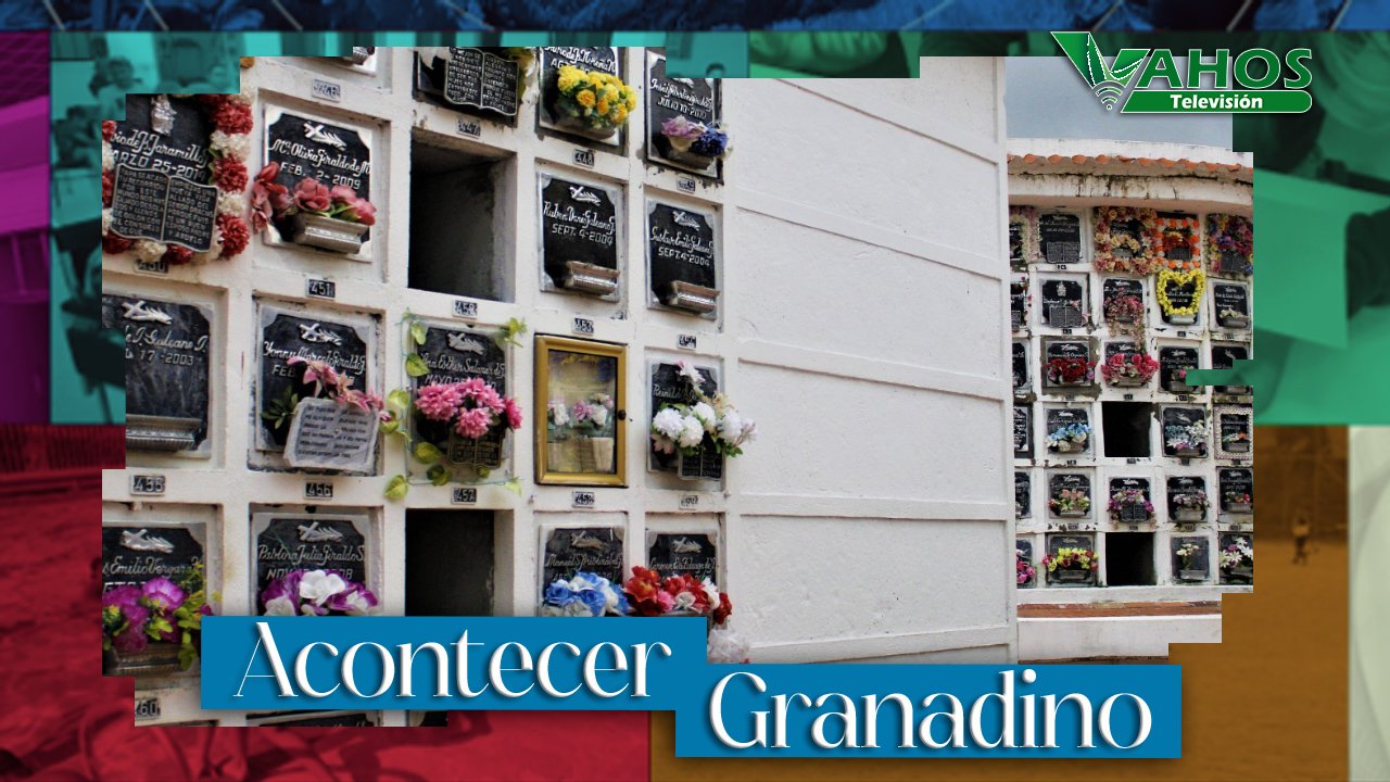 Imagen unidad de busqueda granada