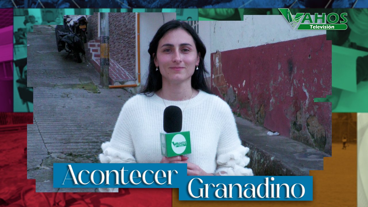 Imagen safer psicosocial granada