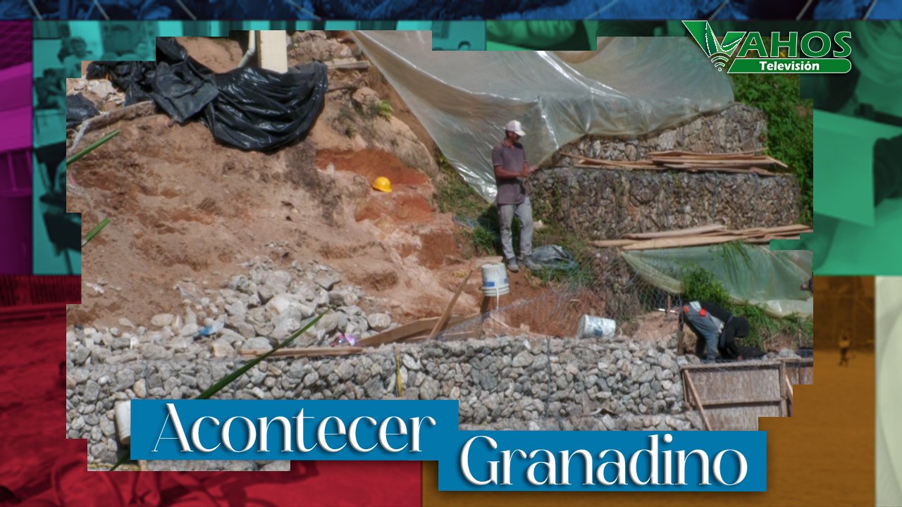 Imagen asilo granada