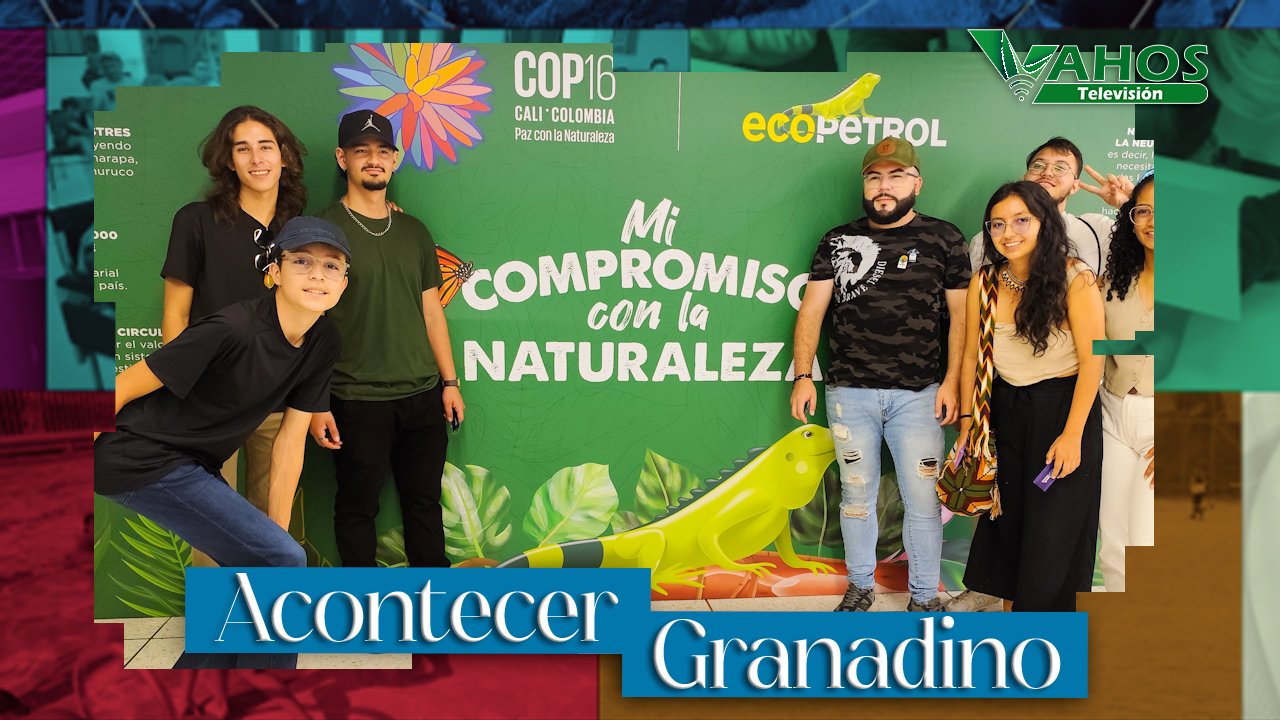 Imagen granadino cop16 granada