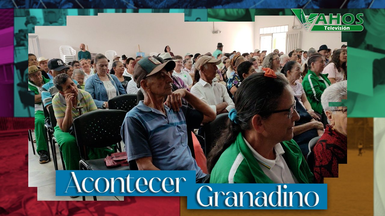 Imagen loro viejo granada