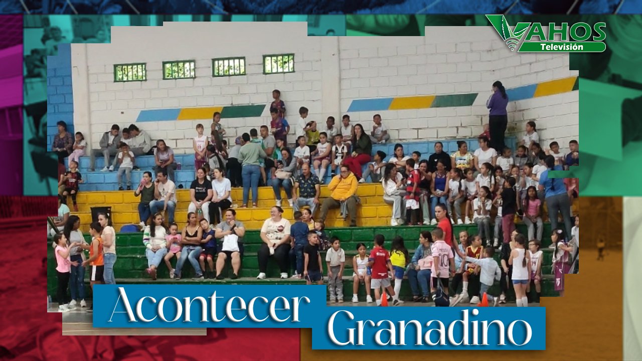 Imagen olimpiadas escolares granada